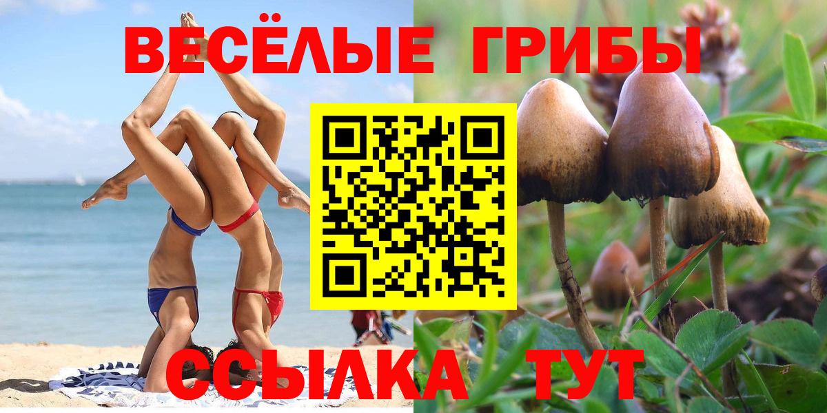Псилоцибиновые грибы MAGIC MUSHROOMS Калуга